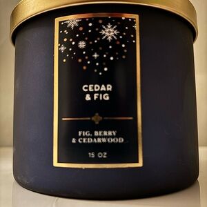 Place & Time Cedar & Fig Candle